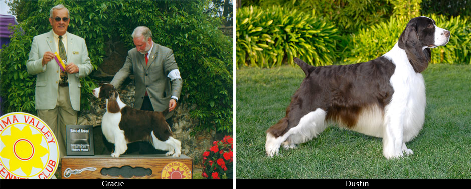 Northwest AKC Champion Kennel