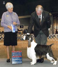 MAR-RIC KayNDee Armani